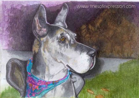 revive old pens used in this water based marker pet portrait