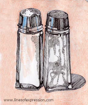 ink sketchbook drawing of salt and pepper shakers