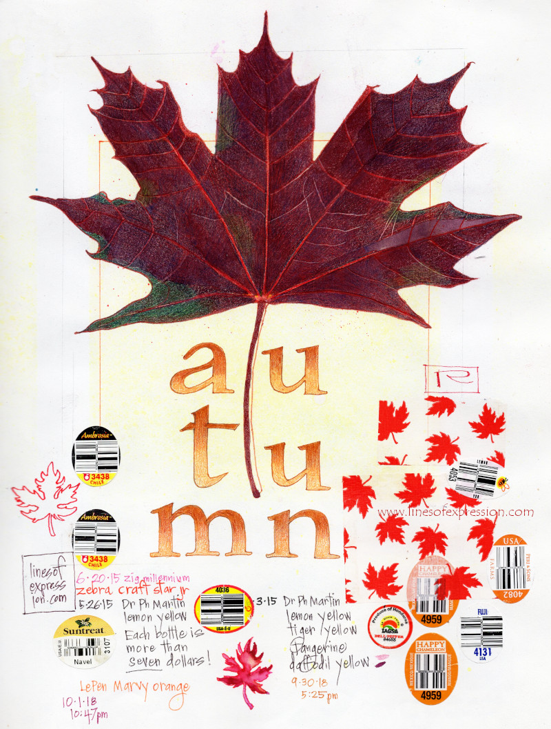mixed media drawing of a maple leaf in colored pencils and collage showing examples of annotations that increase value